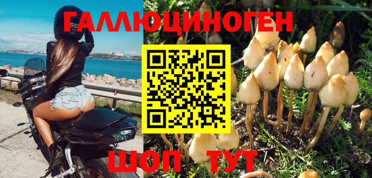 Гурьевск  Псилоцибиновые грибы GOLDEN TEACHER  Псилоцибиновые грибы Cubensis  Вход с VPN 